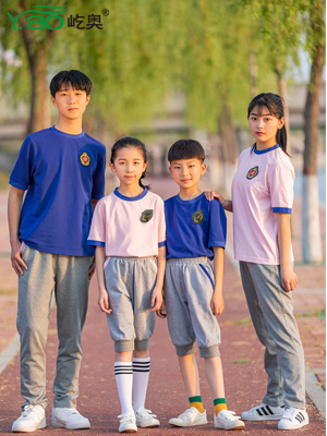 屹奧網(wǎng)站2019小、初、高新款夏季校服套裝
